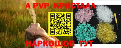 прущие грибы Дубна