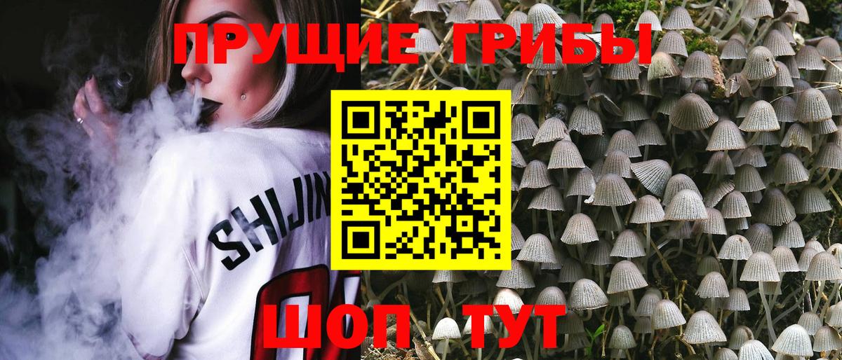 Псилоцибиновые грибы Cubensis  Вход с VPN  где купить наркоту  Кумертау 