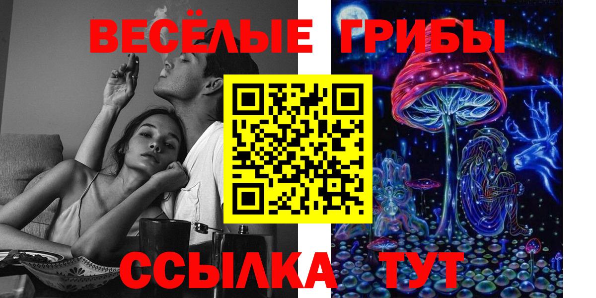 Псилоцибиновые грибы GOLDEN TEACHER Кумертау
